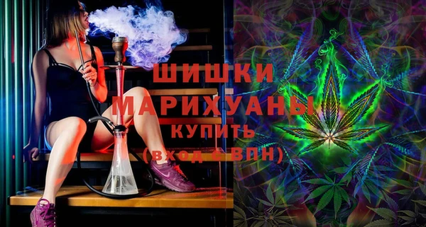 хмурый Михайловск