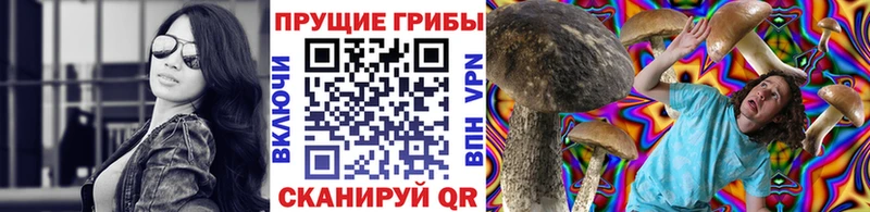кракен   как найти закладки  Новокубанск  Галлюциногенные грибы Psilocybe 