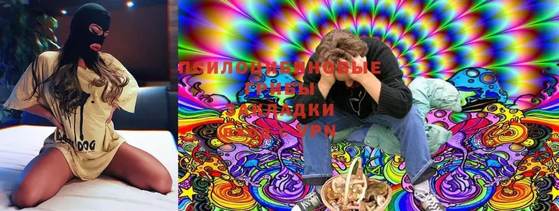 Галлюциногенные грибы Magic Shrooms  OMG зеркало  Новокубанск 