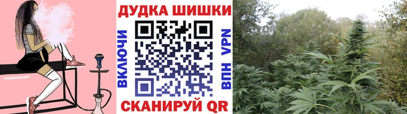 Конопля марихуана Новокубанск